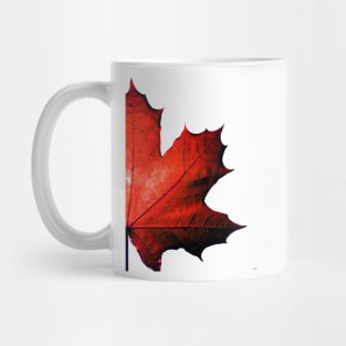 Maple Mug